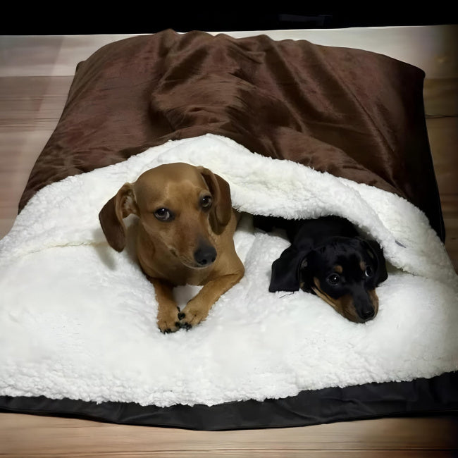 Aurora™ | Cama Saco de Dormir Premium para Cães e Gatos