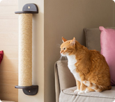 Sisal™ | Arranhador de Parede para Gatos
