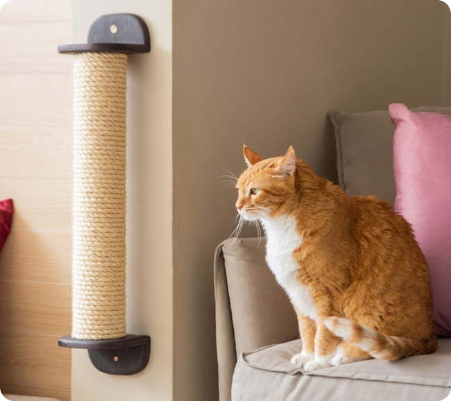 Sisal™ | Arranhador de Parede para Gatos
