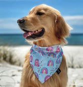 Laço de Ouro™ | Kit de Bandanas Premium para Pets 10 Unidades