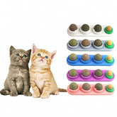Instinto™ | Brinquedo Interativo de Catnip para Gatos