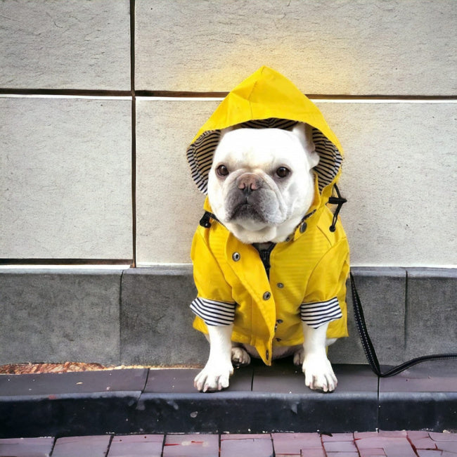 Temporal™ | Capa de Chuva Premium para Cães