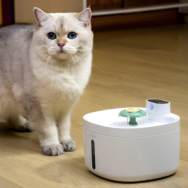 Fonte Imperial Pro™ | Bebedouro Inteligente com Sensor