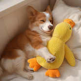 Patito™ | Pelúcia Interativa para Cães